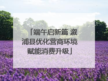端午启新篇 溆浦县优化营商环境赋能消费升级