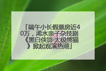 端午小长假票房近40万，浠水亲子杂技剧《黑白侠影·太极熊猫》掀起观演热潮