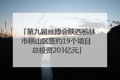 第九届丝博会陕西榆林市横山区签约19个项目 总投资203亿元