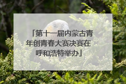 第十一届内蒙古青年创青春大赛决赛在呼和浩特举办