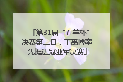 第31届“五羊杯”决赛第二日，王禹博率先挺进冠亚军决赛