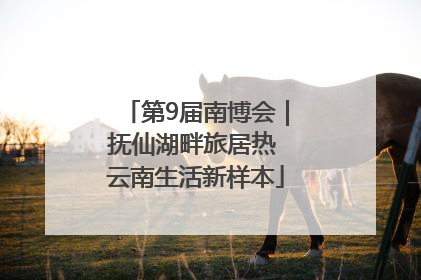 第9届南博会｜抚仙湖畔旅居热 云南生活新样本