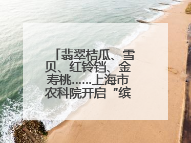 翡翠桔瓜、雪贝、红铃铛、金寿桃……上海市农科院开启“缤纷蔬菜之约”