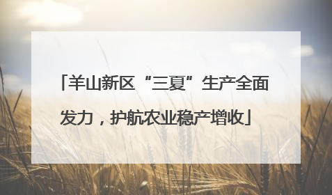 羊山新区“三夏”生产全面发力，护航农业稳产增收