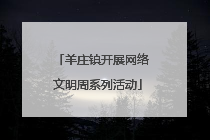 羊庄镇开展网络文明周系列活动