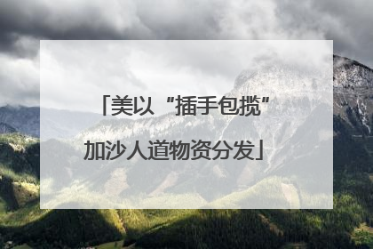 美以“插手包揽”加沙人道物资分发