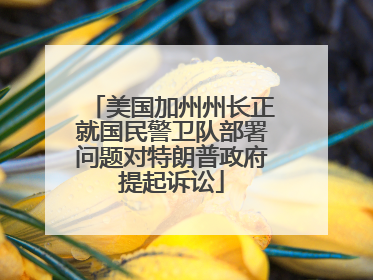 美国加州州长正就国民警卫队部署问题对特朗普政府提起诉讼