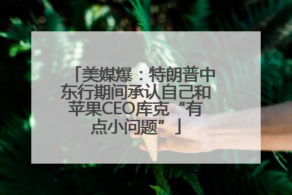 美媒爆：特朗普中东行期间承认自己和苹果CEO库克“有点小问题”