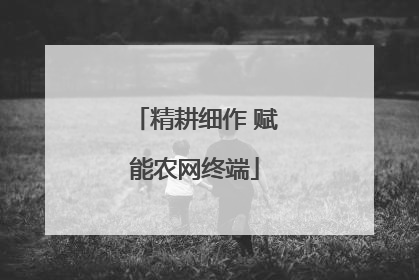 精耕细作 赋能农网终端