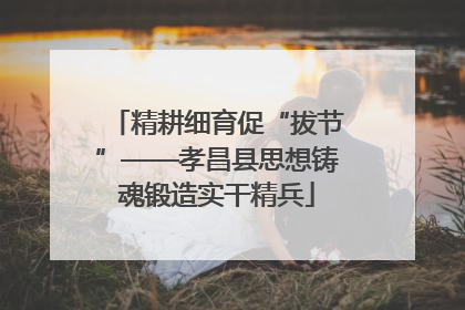 精耕细育促“拔节”——孝昌县思想铸魂锻造实干精兵