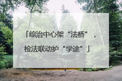 综治中心架“法桥”，检法联动护“学途”