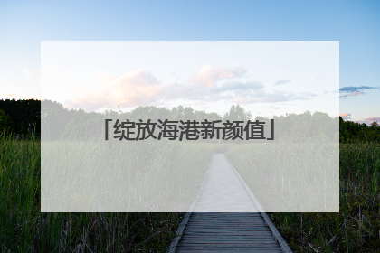 绽放海港新颜值