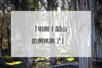 组图丨韶山的黄桃熟了