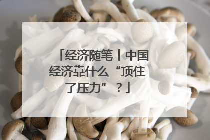 经济随笔丨中国经济靠什么“顶住了压力”？