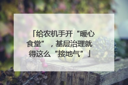 给农机手开“暖心食堂”，基层治理就得这么“接地气”