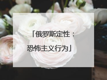 俄罗斯定性：恐怖主义行为