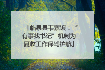 临泉县韦寨镇：“有事找书记”机制为夏收工作保驾护航