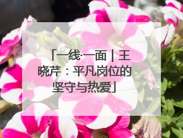一线·一面｜王晓芹：平凡岗位的坚守与热爱