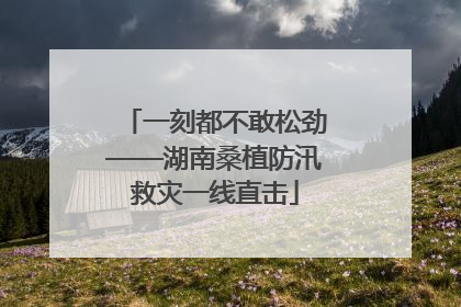 一刻都不敢松劲——湖南桑植防汛救灾一线直击