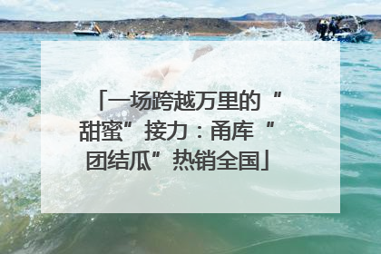 一场跨越万里的“甜蜜”接力：甬库“团结瓜”热销全国