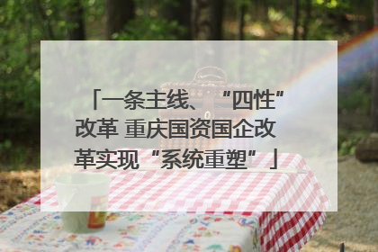 一条主线、“四性”改革 重庆国资国企改革实现“系统重塑”
