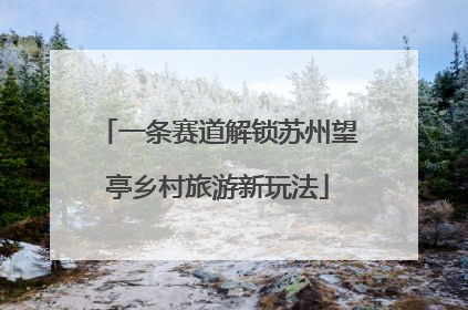 一条赛道解锁苏州望亭乡村旅游新玩法