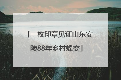 一枚印章见证山东安陵88年乡村蝶变