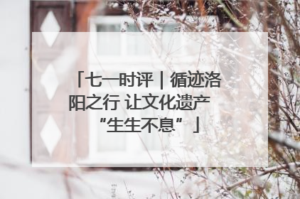 七一时评｜循迹洛阳之行 让文化遗产“生生不息”