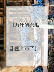 万年哈密瓜甜蜜上市了