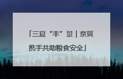 三夏“丰”景｜京冀携手共助粮食安全