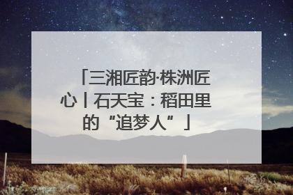 三湘匠韵·株洲匠心丨石天宝：稻田里的“追梦人”