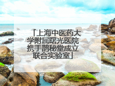 上海中医药大学附属曙光医院携手鹊秘堂成立联合实验室