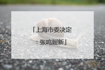 上海市委决定：张鸣履新
