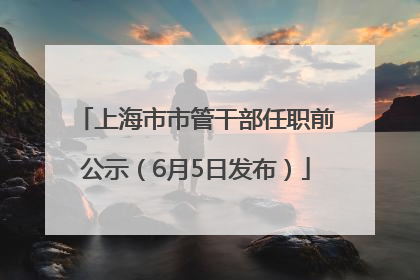 上海市市管干部任职前公示（6月5日发布）