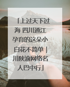上过天下过海 四川通江孕育的这朵小白花不简单｜川陕渝网络名人巴中行