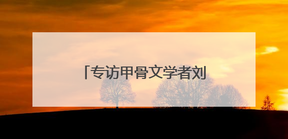 专访甲骨文学者刘风华：甲骨文里的戈光剑影与商城新生