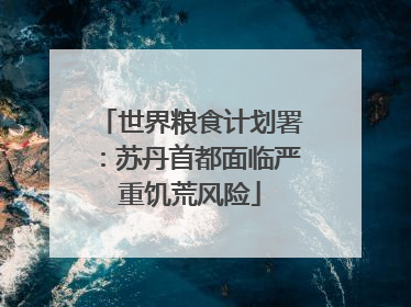 世界粮食计划署：苏丹首都面临严重饥荒风险