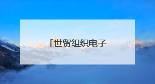 世贸组织电子商务规则高级研讨班来鄂调研
