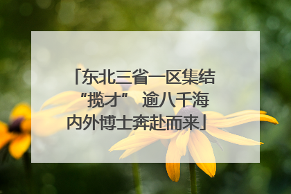 东北三省一区集结“揽才” 逾八千海内外博士奔赴而来