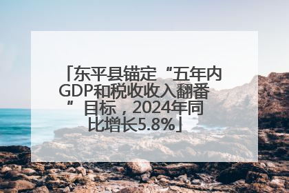 东平县锚定“五年内GDP和税收收入翻番”目标，2024年同比增长5.8%