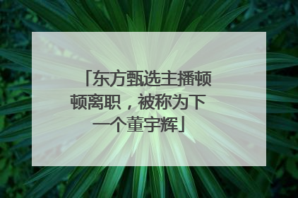 东方甄选主播顿顿离职，被称为下一个董宇辉