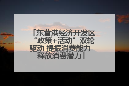 东营港经济开发区“政策+活动”双轮驱动 提振消费能力 释放消费潜力