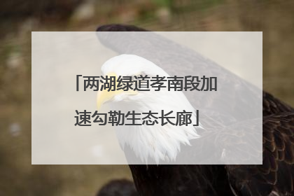 两湖绿道孝南段加速勾勒生态长廊