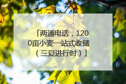 两通电话，1200亩小麦一站式收储（三夏进行时）