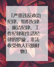 严重违反政治纪律、组织纪律、廉洁纪律、工作纪律和生活纪律的罗璇，非法收受他人巨额财物