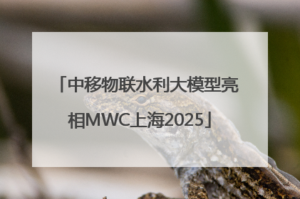 中移物联水利大模型亮相MWC上海2025