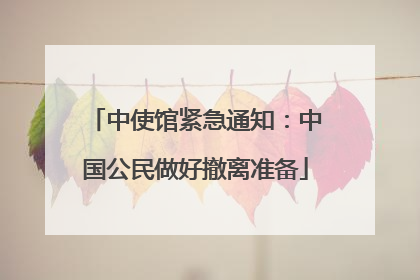 中使馆紧急通知：中国公民做好撤离准备