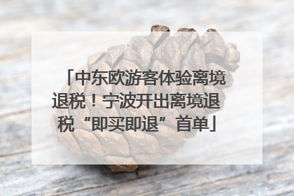 中东欧游客体验离境退税！宁波开出离境退税“即买即退”首单