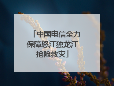 中国电信全力保障怒江独龙江抢险救灾