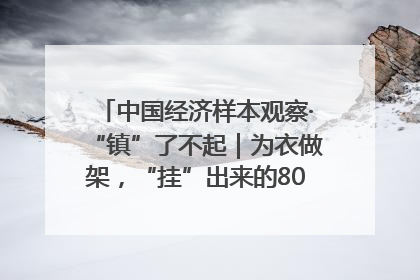 中国经济样本观察·“镇”了不起｜为衣做架，“挂”出来的80亿元“衣架产业”